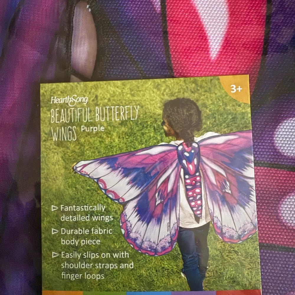 Beautiful Butterfly Wings Costume - Purple